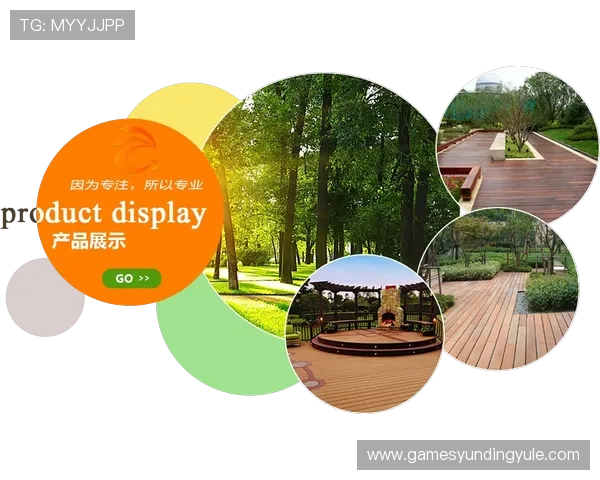 云顶投资有限公司的财务管理与风险控制策略研究