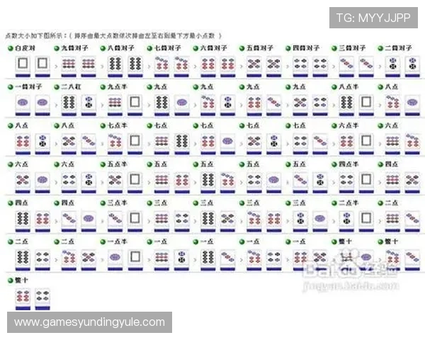二八杠游戏大全：经典玩法与创新玩法结合的完整游戏介绍