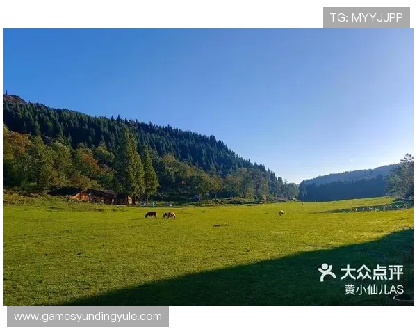 马来西亚云顶山庄旅游最佳时间及天气情况详解，帮助你合理安排出行计划